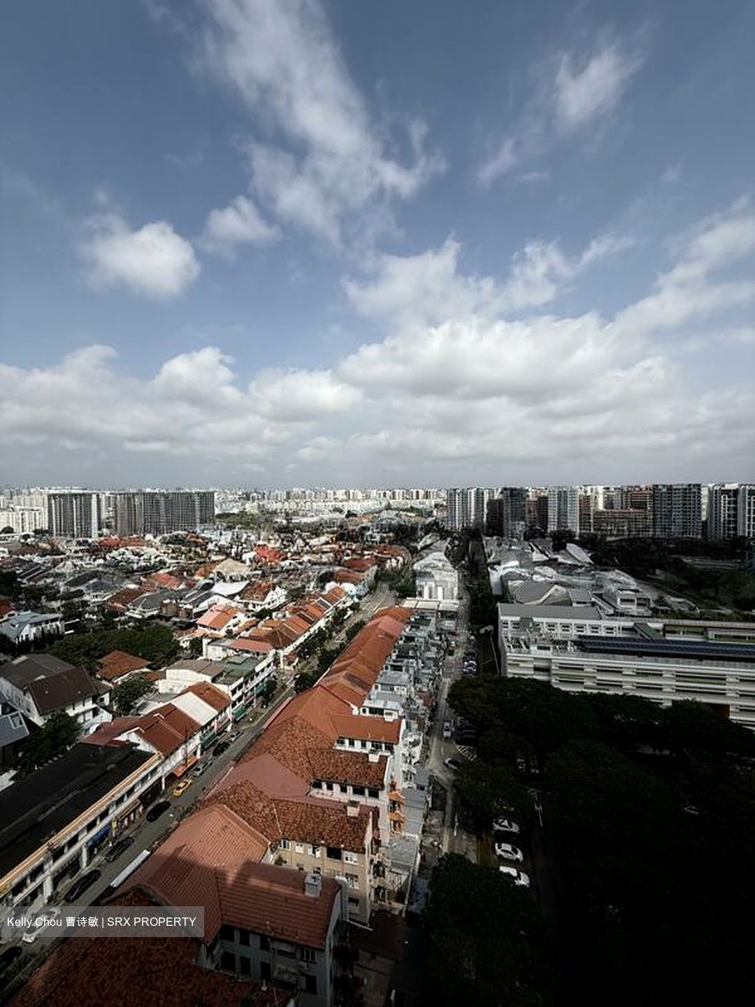 Tembusu Grand (D15), Condominium #520896321